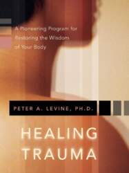 Healing Trauma: A Pioneering Program for