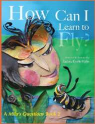 How Can I Learn To Fly