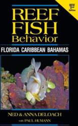 Reef Fish Behavior - Florida Caribbean