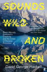 Sounds Wild and Broken: Sonic Marvels