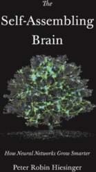 The Self-Assembling Brain: How Neural Networks