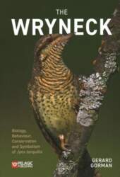 Wryneck