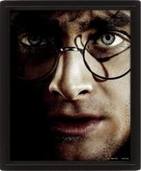 HARRY POTTER (HARRY VS VOLDEMORT) -
