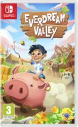 Everdream Valley
      
        - Nintendo Switch
