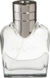 Van Gils - Basic Instinct EDT