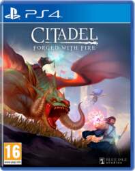 Citadel: Forged with Fire
      
        - PlayStation