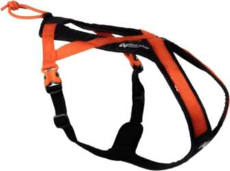Non-Stop - Harness Rush - Black/Orange
