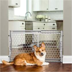 CARLSON -  Gate Plastic Expandable Gate