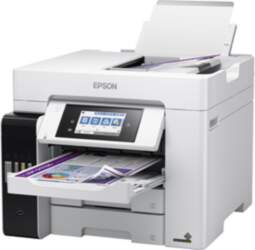 Epson Multifunctional Printer, 313117
