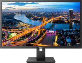 Philips LCD monitor with PowerSensor, 317007