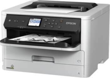 Epson Printer, 246889