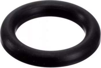 DIN 11851 savienojuma blīve EPDM DN100