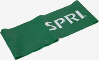 Spri - Flat Band Loop Light