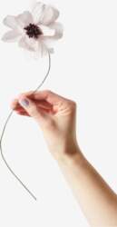 Studio About - Paper Flower, Daisy