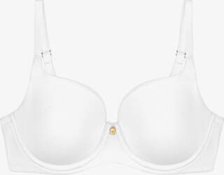 Triumph - Body Make-Up Essentials Wp