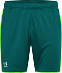 Under Armour - Ua M Challenger