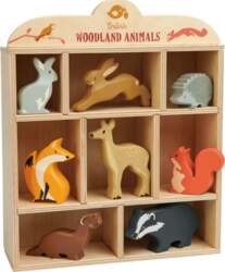 Tender Leaf - Display Shelf With