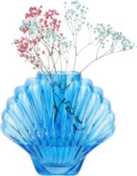 DOIY - Vase - Seashell -
