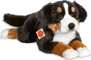 Teddy Hermann - Lying Bernese Mountain