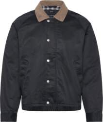 Abercrombie & Fitch - Light Weight