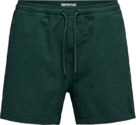ONLY & SONS - Onsted Life