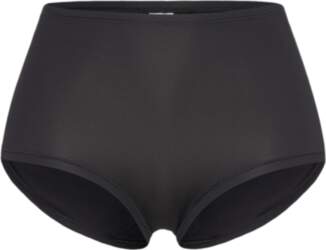 Swegmark - Essence Maxi Briefs Cool