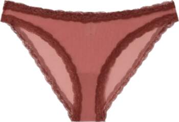 Understatement Underwear - Mesh Lace Trim