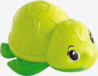 ABC - Abc - Bathing Turtle