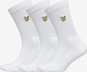 Lyle & Scott - Hamilton -