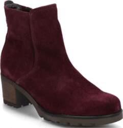 Gabor - Ankle Boot - Potīšu
