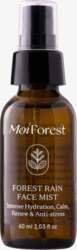 Moi Forest - Moi Forest Forest