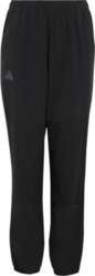 Adidas Terrex - K Mt Pants