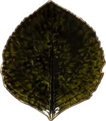 Costa Nova - Leaf Plate Hydrangea