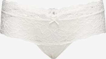Missya - Nicole String - Stringi