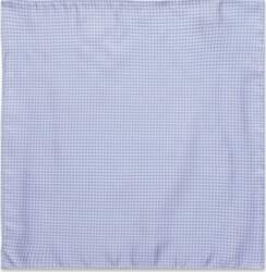 Portia 1924 - Pattern Silk Pocket