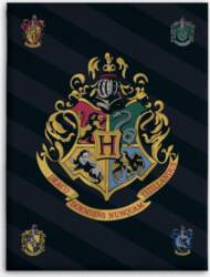 Harry Potter - Fleece Plaid  Harry