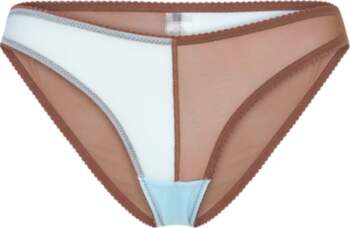 Understatement Underwear - Mesh Two-Tone Bikini