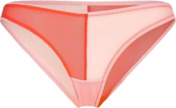 Understatement Underwear - Mesh Two-Tone Bikini