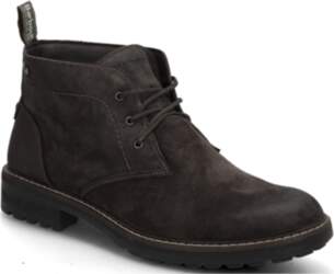 Barbour - Barbour Shawdon Chukka Boot