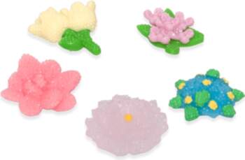 Crocs - Beaded Flowers 5 Pack