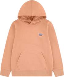 Levi`s - Levi`s® Mini Batwing Pullover