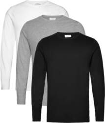 Lindbergh - 3Pk Basic Tee L/S