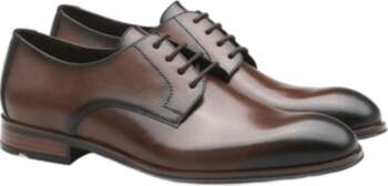Lloyd - Core Plus 110 -