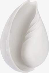 Mette Ditmer - Conch Shell -