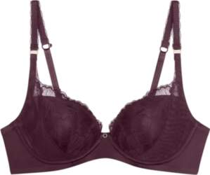 Triumph - Love In Lace Wp