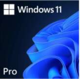 Microsoft | Windows 11 Pro |