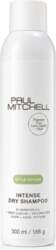 Paul Mitchell Style Extend Intense Dry