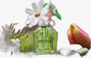Marc Jacobs Daisy Wild EDP -