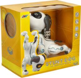 RC robots suns