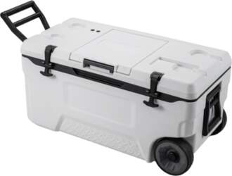 Ledus kaste 70 l